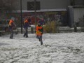 Afbeelding 072